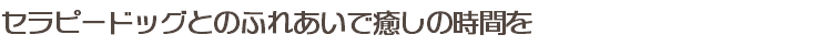 セラピードッグとのふれあいで癒しの時間を